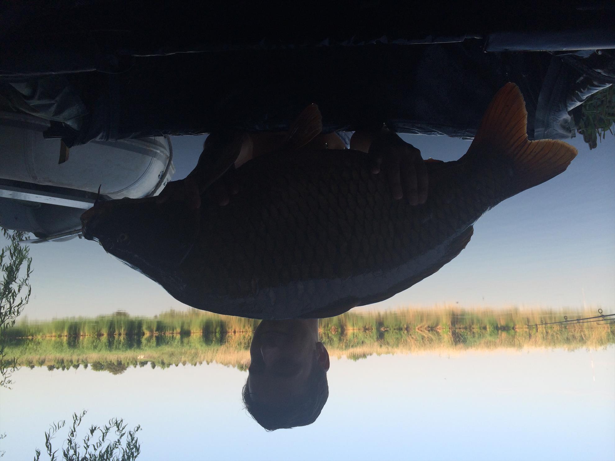 PILHAN  - photo-5.JPG